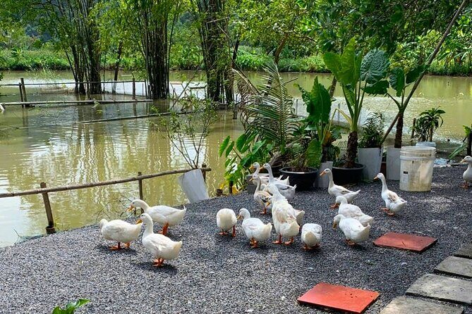 Journey Off the Beaten Path: Ninh Binh Hidden Gems by Motorbike - Final Words