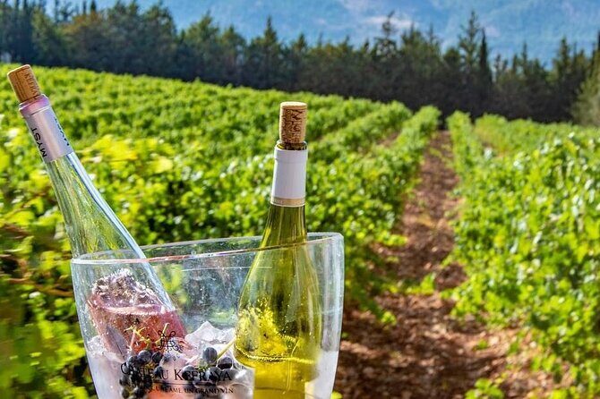 Journey Through Lebanese Wine: A Private Tour in the Beqaa Valley - Final Thoughts
