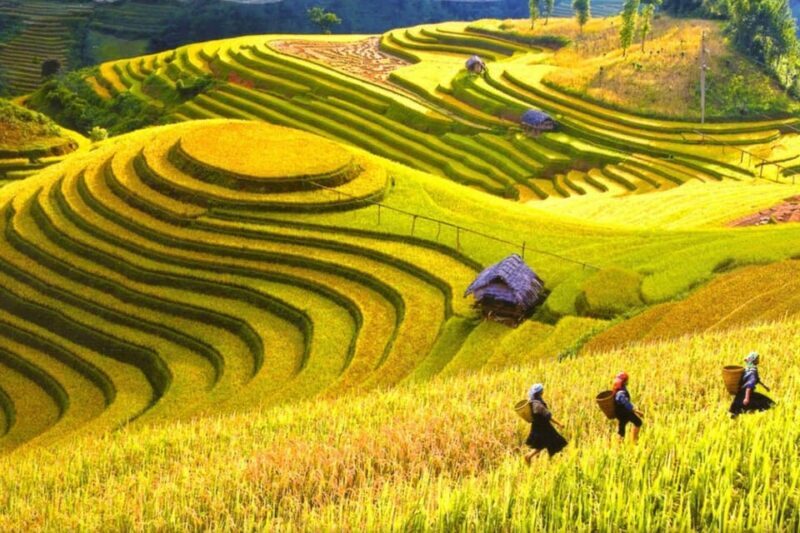 Journey Through Sapa Terraces & Traditions - FAQ