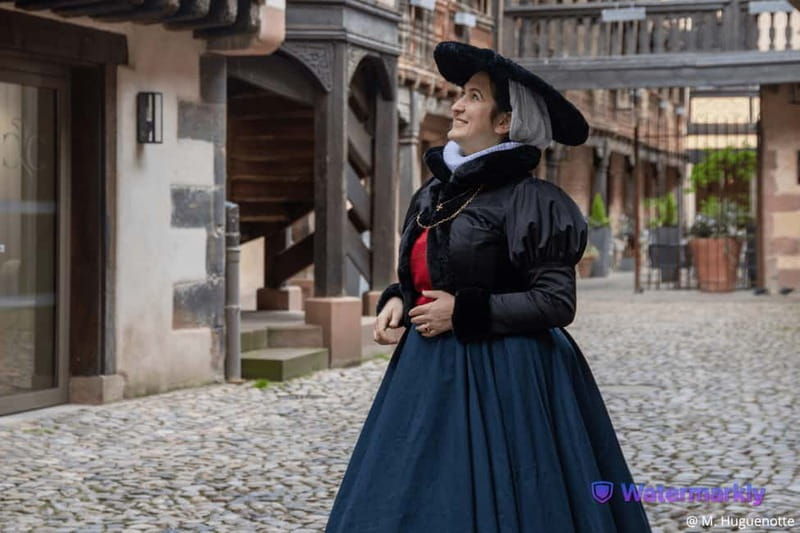 Journey Through the Rhineland Renaissance in Strasbourg - Who Would Enjoy This Experience?
