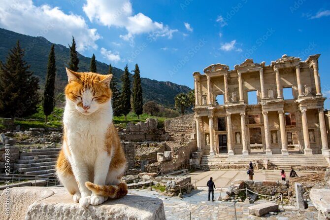 Journey to Ancient Wonders: Explore Ephesus with a Private Tour - The Sum Up: Is This Tour for You?