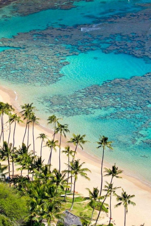 journey-to-cham-island-explore-snorkel-and-indulge