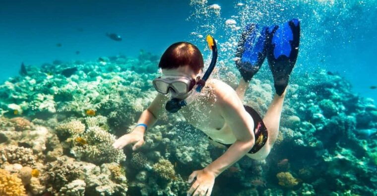 journey-to-cham-island-explore-snorkel-and-indulge