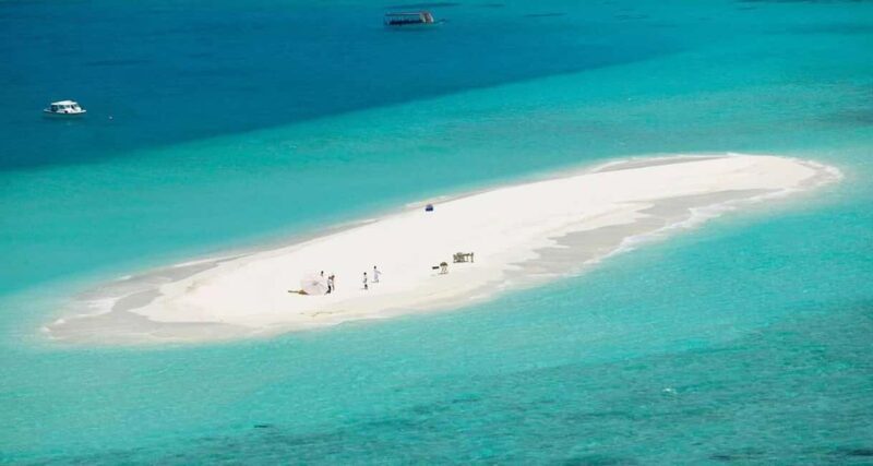 Jozani Forest and Nakupenda SandBank with fruits - Dive into Zanzibar’s Natural Wonders