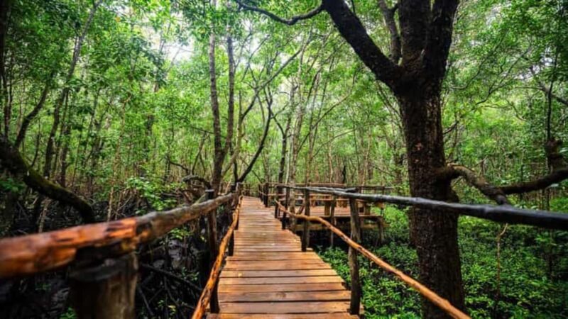 Jozani Forest and Nakupenda SandBank with fruits - What’s Included and What to Consider