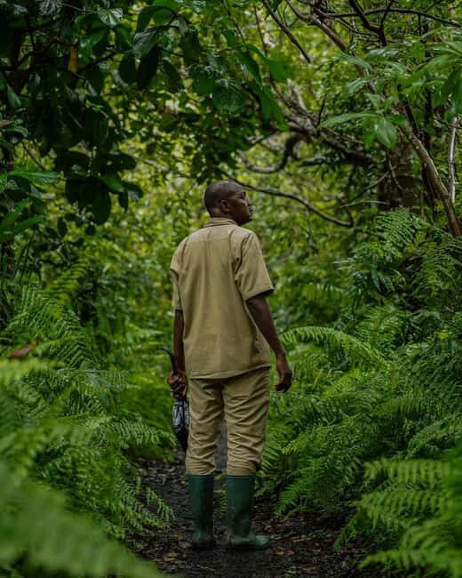 Jozani forest , Kuza cave and mtende beach - Discover the Natural Beauty of Zanzibar: Jozani Forest, Kuza Cave, and Mtende Beach