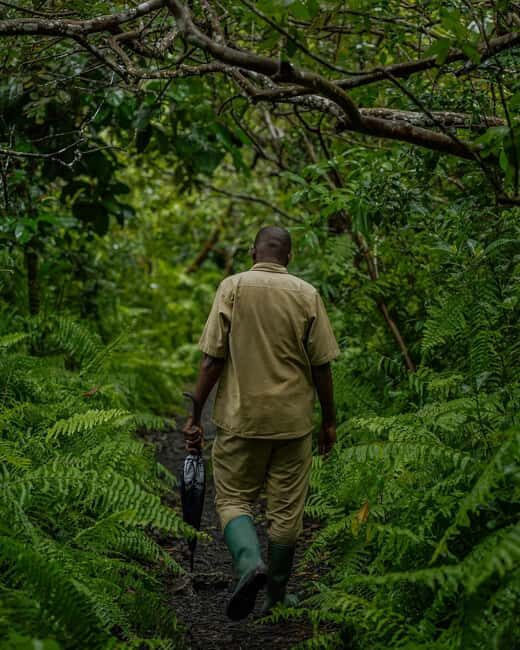 Jozani forest , Kuza cave and mtende beach - Final Thoughts