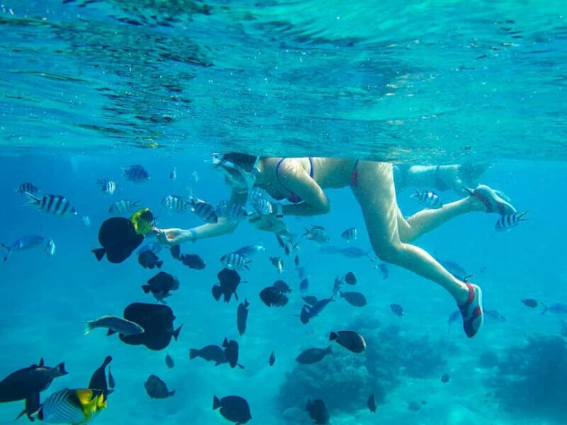 Jozani Forest, Kuza Cave, Blue Lagoon & The Rock Restaurant - An In-Depth Look at What the Tour Offers