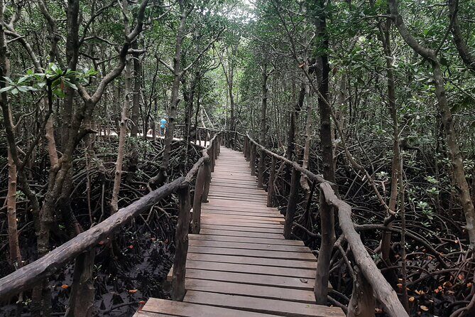 Jozani Forest, Kuza Cave, Paje Beach and The Rock Restaurant - FAQs
