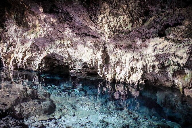 Jozani Forest Kuza Cave The Rock Restaurant and Paje Beach - Who Should Consider This Tour?