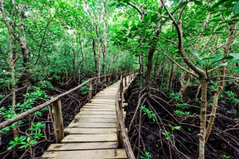 Jozani forest national park and Spice farm - Key Points