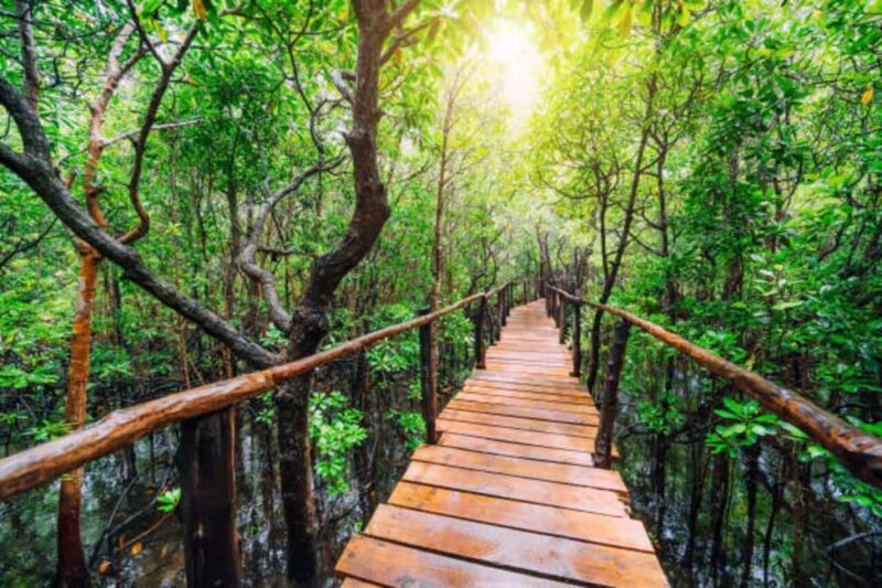 Jozani forest national park and Spice farm - The Details of the tour
