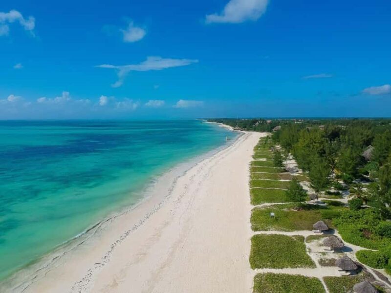 Jozani Forest & Paje Beach Trip with The Rock Restaurant - Authentic Feedback from Travelers
