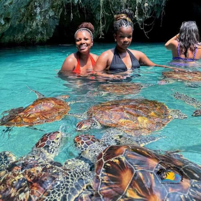 JOZANI FOREST , SEA TORTOISE SANCTUARY & THE ROCK RESTAURANT - Key Points