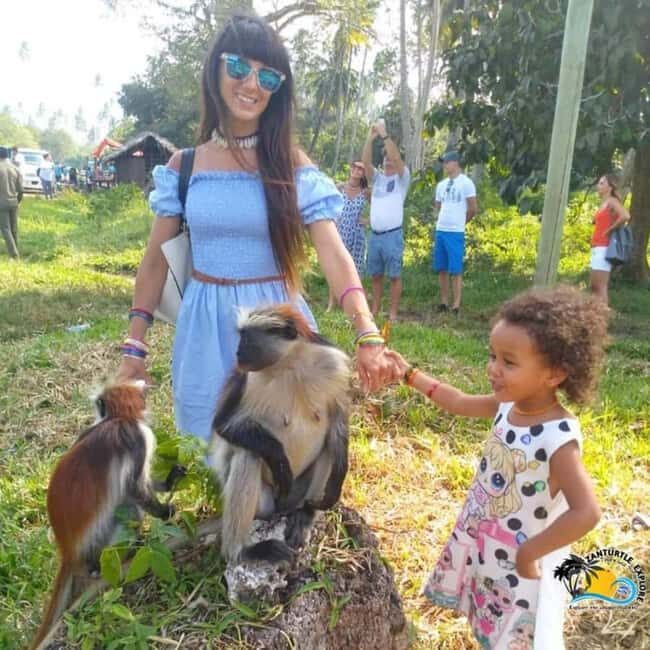 JOZANI FOREST , SEA TORTOISE SANCTUARY & THE ROCK RESTAURANT - Practical Details and Tips