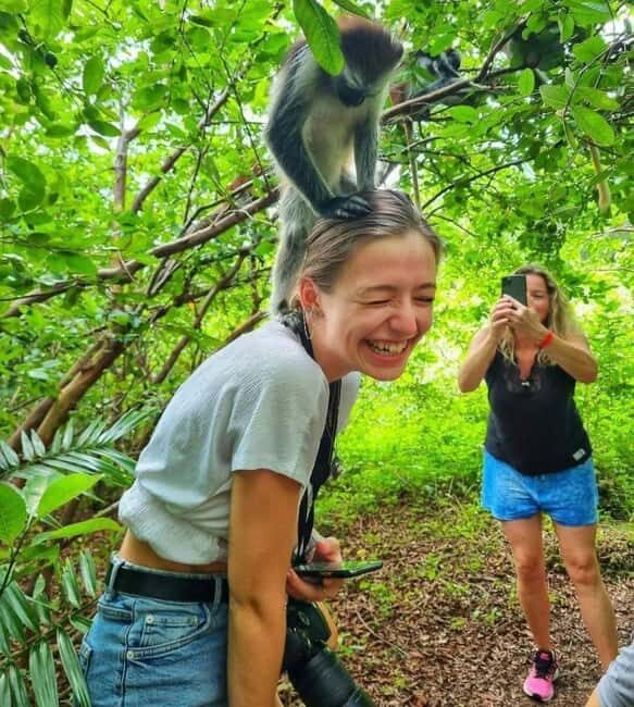 Jozani Forest, Sea Turtles, Blue Lagoon, Starfish & The Rock - Authentic Experiences from Reviewers