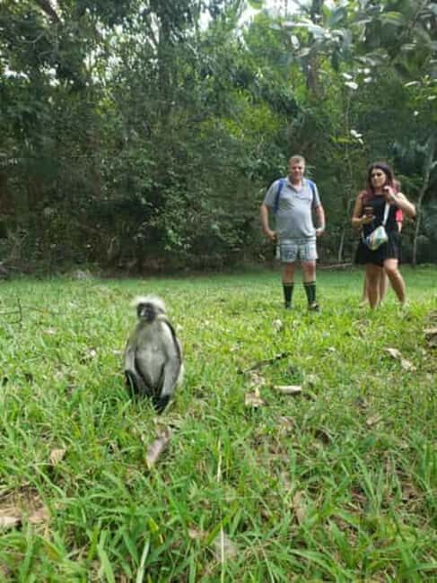 Jozani forest, spice farm and stone town with night market. - Frequently Asked Questions