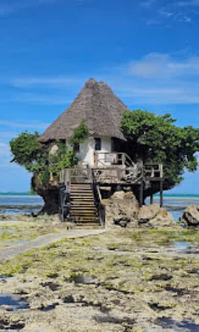 Jozani Forest, Star fish and the rock restaurant - Discovering Jozani Forest: A Wildlife Lover’s Dream