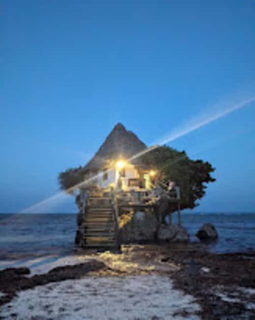Jozani Forest, Star fish and the rock restaurant - Walking on Mangrove Bridges and Trails