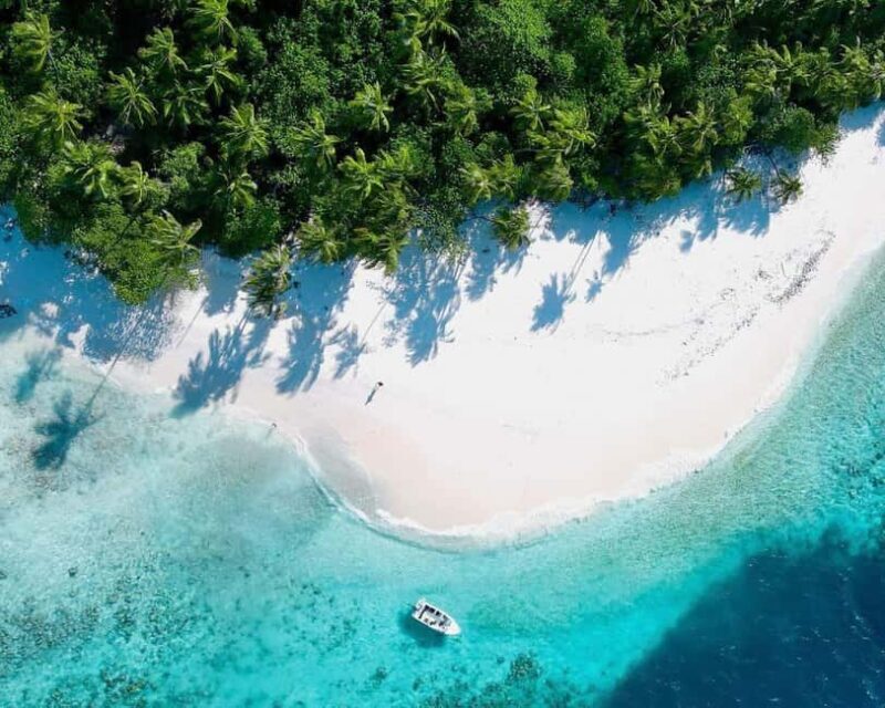 Jozani Forest, Stone Town with Lunch, Night Fish Market - What to Expect from the Tour
