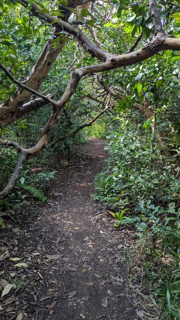 Jozani Forest, The Rock,Spice farm with lunch & Stone Town. - An In-Depth Look at the Tour Experience