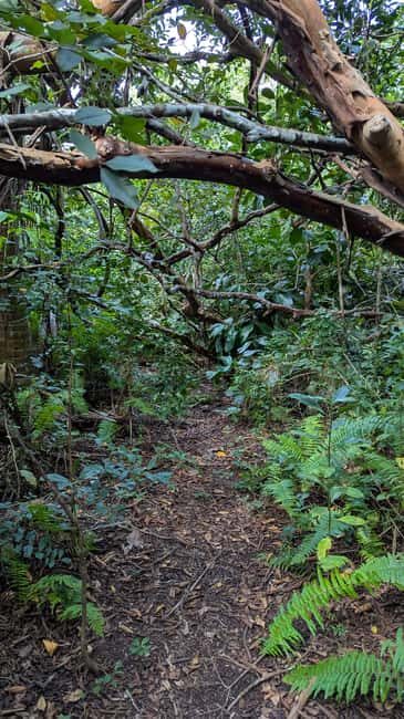 Jozani Forest, The Rock,Spice farm with lunch & Stone Town. - What Travelers Say
