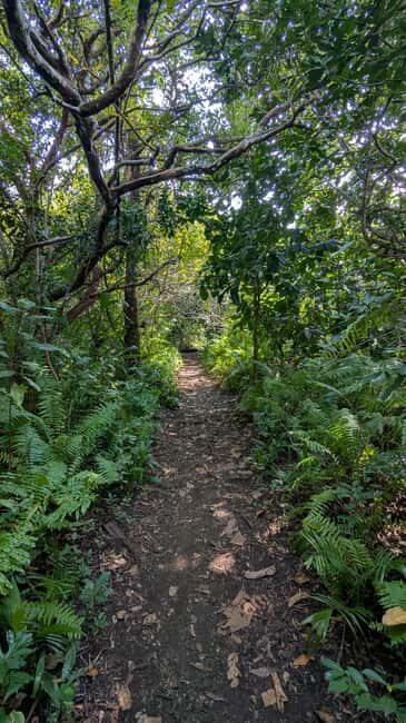 Jozani Forest, The Rock,Spice farm with lunch & Stone Town. - Final Thoughts: Is This Tour Right for You?