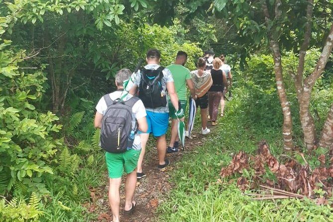 Jozani Forest Tour - A Detailed Look at the Jozani Forest Experience