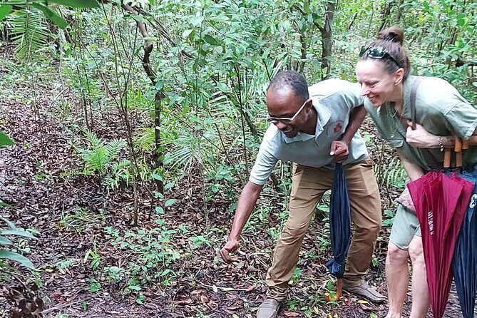 Jozani Forest Tour - Who Will Love this Tour?