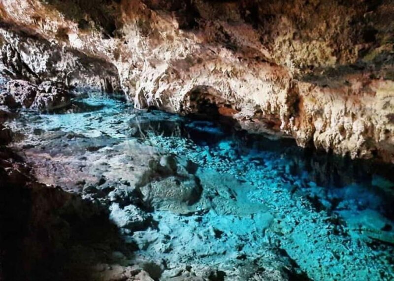 Jozani Forest Tour with Lunch Break, Kuza Cave , The Rock - Practical Details and Considerations  