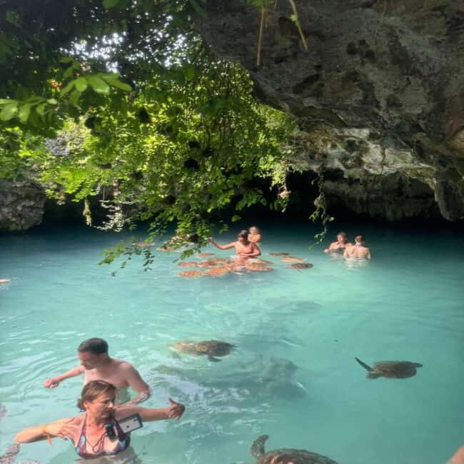 Jozani Forest & Turquoise Waters Turtle Swim at Salaam Cave - An In-Depth Look at the Tour Experience  