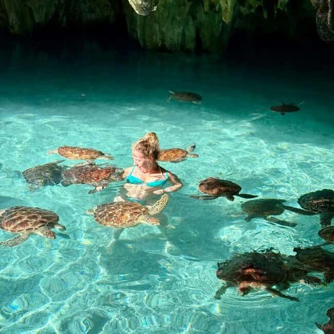 Jozani Forest & Turquoise Waters Turtle Swim at Salaam Cave - FAQs  