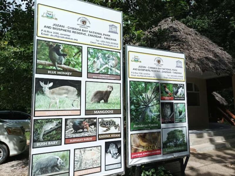 Jozani national,saalam cave and Mtende beach - Key Points