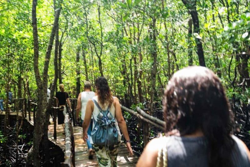 Jozani national,saalam cave and Mtende beach - What’s Included and What to Consider