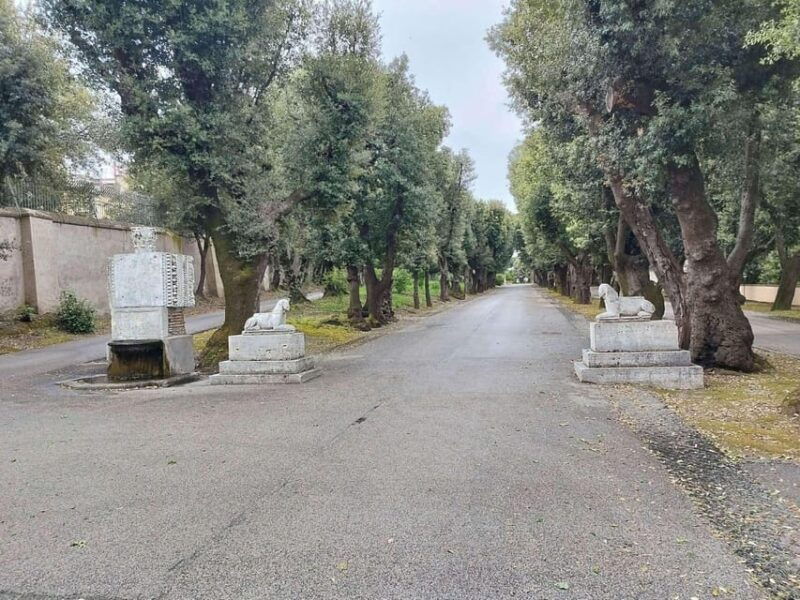 jubilee-castel-gandolfo-and-the-gardens-of-the-pontifical-villas