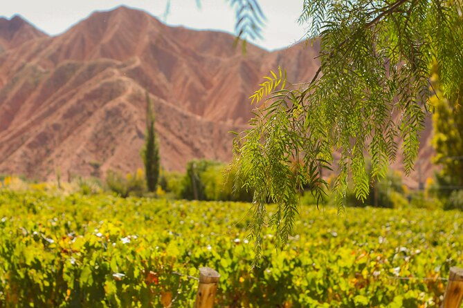 jujuy-wine-route-quebrada-de-humahuaca