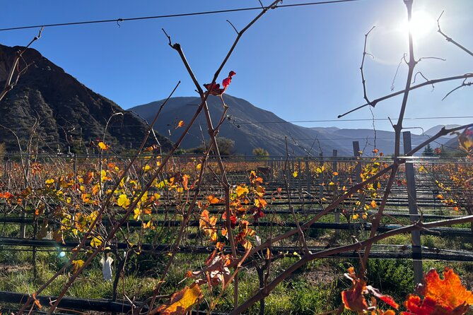 jujuy-wine-route-quebrada-de-humahuaca