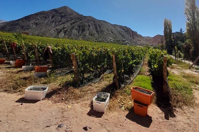 jujuy-wine-route-quebrada-de-humahuaca