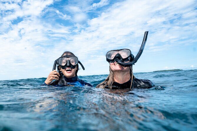 Julian Rocks: Premier Snorkeling Tour Byron Bay - The Value of This Snorkeling Tour