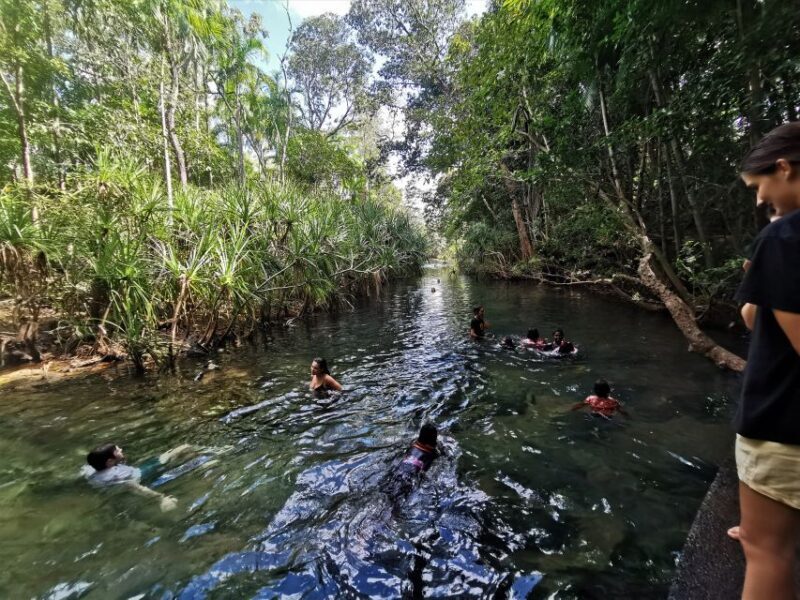 Jumping Croc Cruise, Berry Springs,Fogg Dam & Humpty Doo Pub - A Practical Breakdown of the Tour