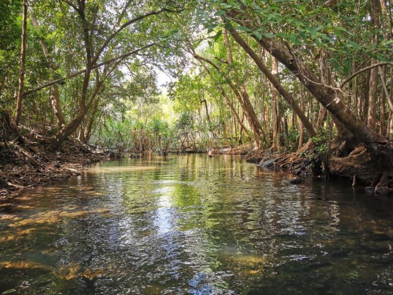 Jumping Croc Cruise, Berry Springs,Fogg Dam & Humpty Doo Pub - FAQ