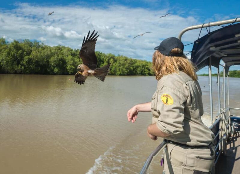 Jumping Crocodile Cruise from Darwin Half-Day Scenic Trip - The Sum Up: Who Is This Tour Best For?