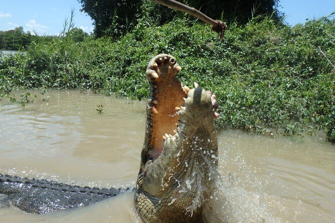 Jumping Crocodile Cruise with lunch - Things to Keep in Mind