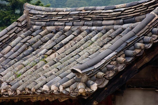 Junam Wetlands and Haeinsa Temple Tour - An In-Depth Look at the Tour Experience