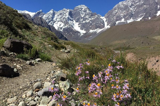 juncal-andean-park-hiking-over-a-glacial-tongue