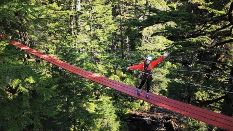 Juneau: Alpine Zipline Adventure - A Complete Breakdown of the Juneau Alpine Zipline Adventure