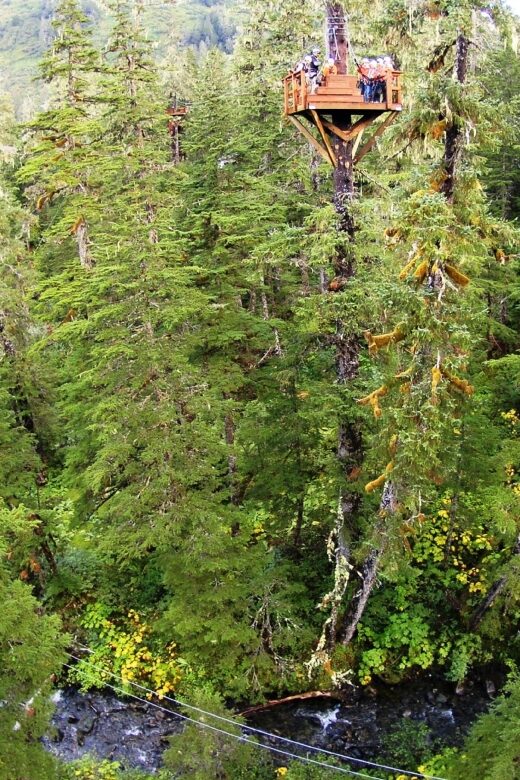 Juneau: Alpine Zipline Adventure - Final Thoughts: Is the Juneau Alpine Zipline Adventure Worth It?