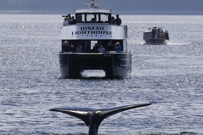 juneau-lighthouse-tours-whale-watching-lighthouse-combo