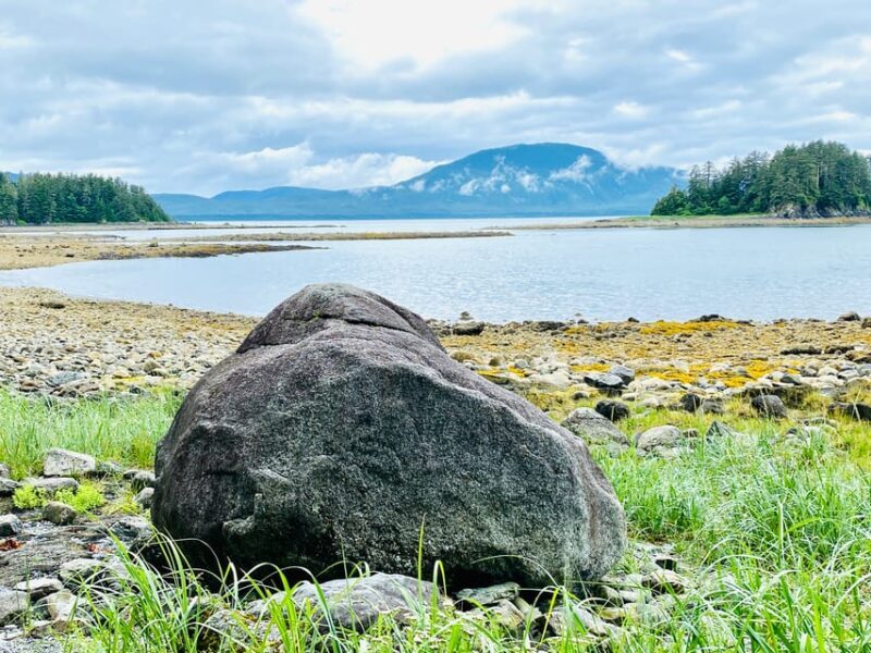 Juneau: Rainforest Photo Safari on a Segway - Who Would Enjoy This Tour?