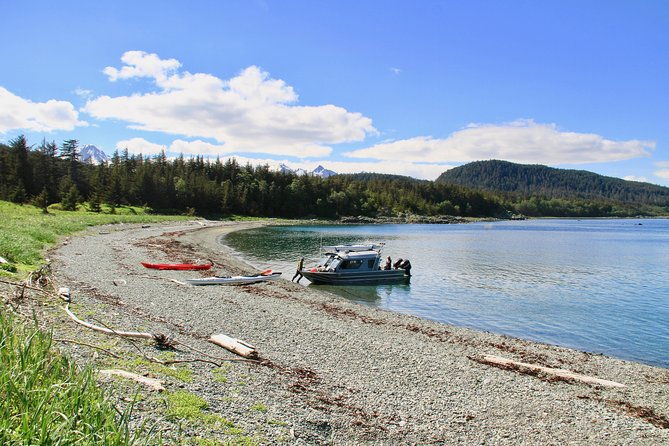 juneau-shore-excursion-paddle-with-whales-kayak-adventure